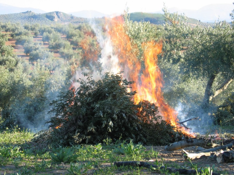 Bonfire licences and disposing of garden rubbish in the Region of Murcia