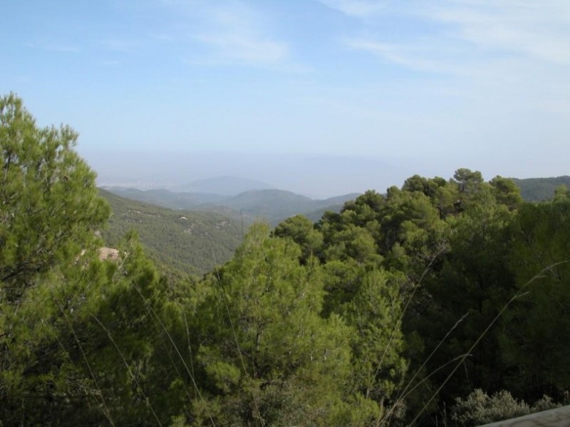 <span style='color:#780948'>ARCHIVED</span> - What's on 21st to 27th October in Alhama de Murcia