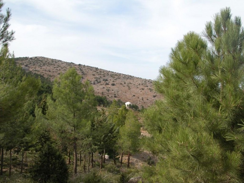 <span style='color:#780948'>ARCHIVED</span> - What's on in Alhama de Murcia 18th to 24th November