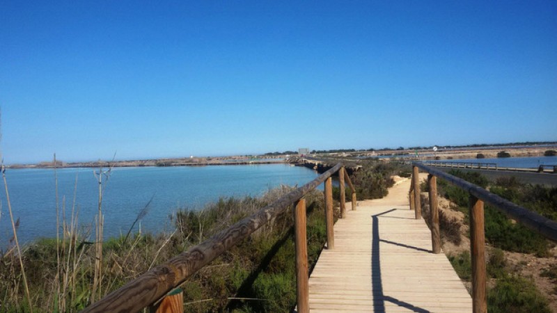 <span style='color:#780948'>ARCHIVED</span> - 7th December free guided 9km route in San Pedro del Pinatar