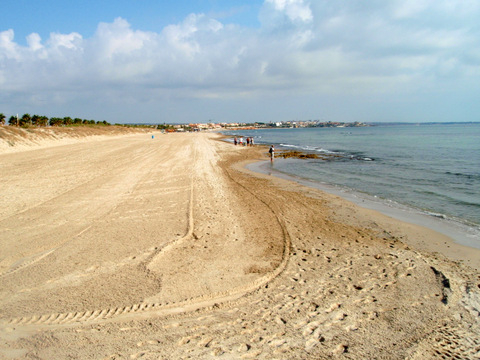Playa Las Higuericas, Pilar de la Horadada