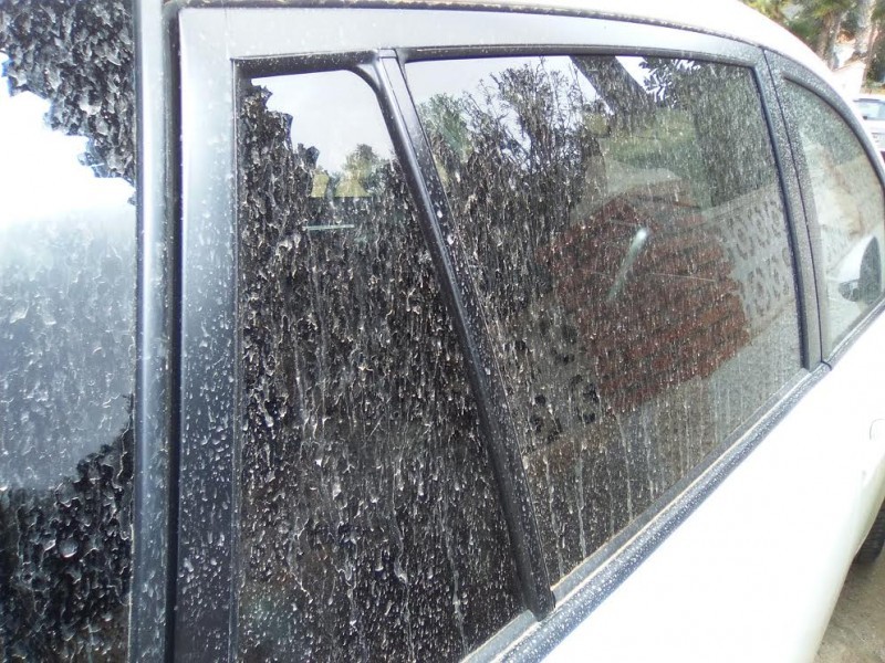<span style='color:#780948'>ARCHIVED</span> - Muddy rain is more common in Murcia than anywhere else in Spain!