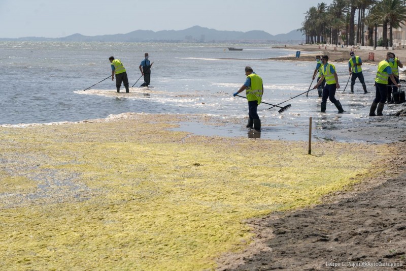 span style='color:#780948'>ARCHIVED</span> - Mar Menor clean-up goes on  after Gota Fría flooding