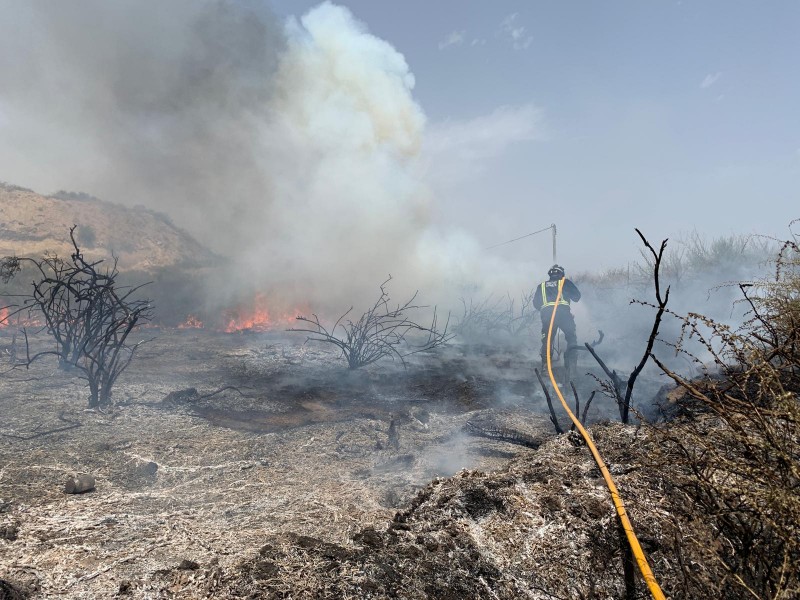 Murcia Today - Roadside Fire Extinguished In Águilas