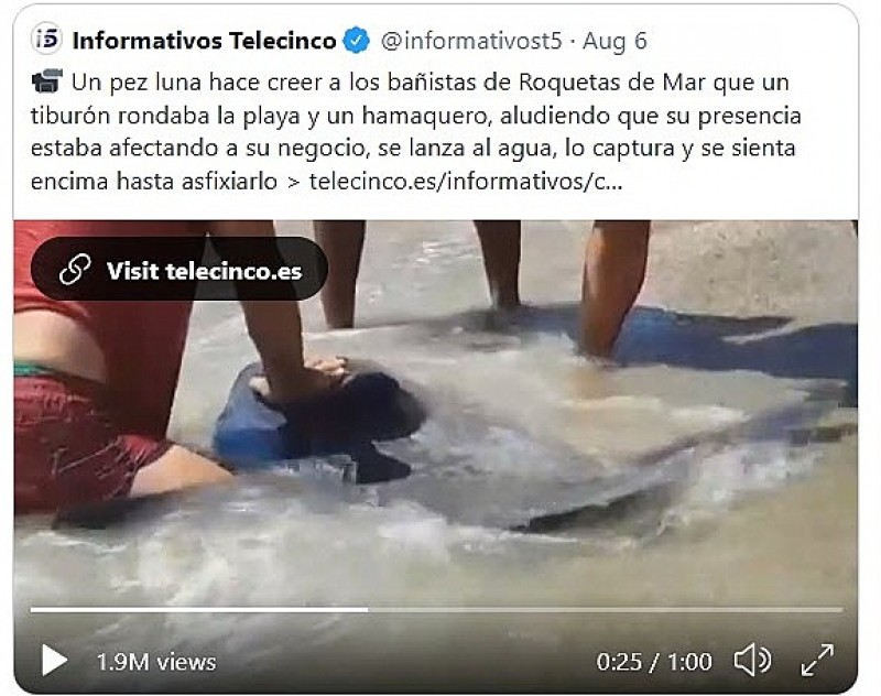 No prosecution against man who pummelled a sunfish to death on Almeria beach