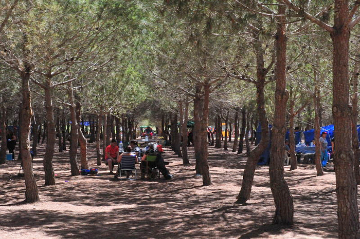 Municipal camping area, Lo Albentosa, Torrevieja