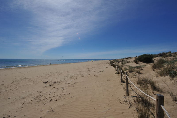 The beaches of Torrevieja: an overview
