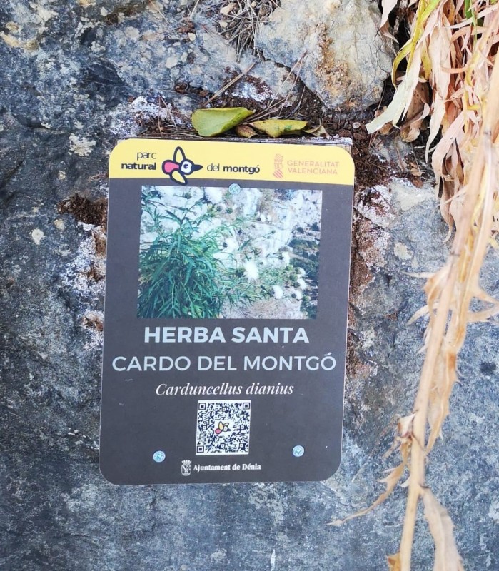 <span style='color:#780948'>ARCHIVED</span> - New signposted botanical route at Montgo Natural Park in Denia