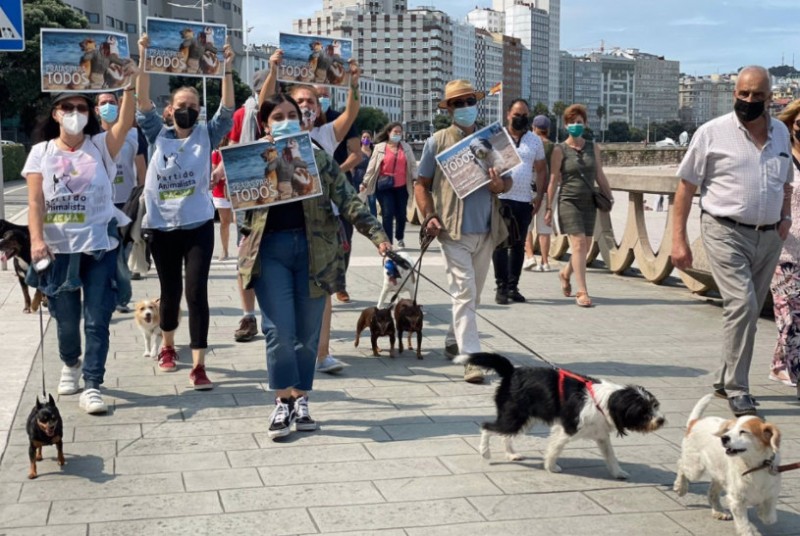 Murcia Today - Animal Rights Campaigners Demand Full Access For Dogs To  Spanish Beaches
