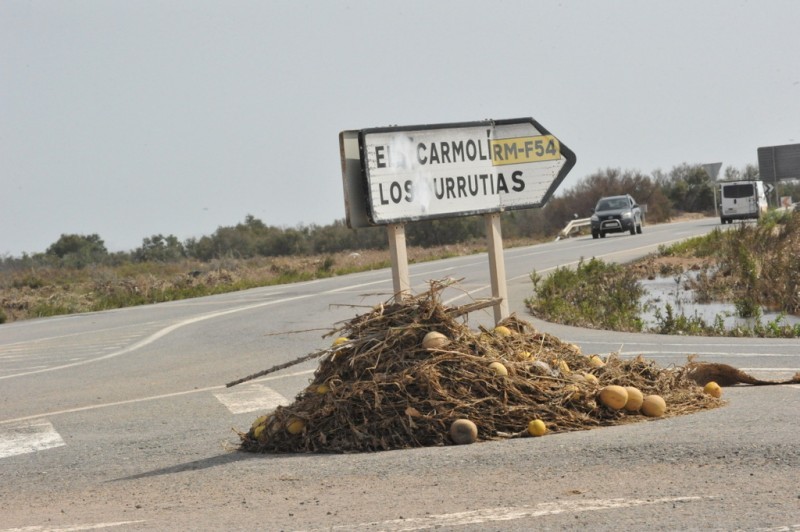 <span style='color:#780948'>ARCHIVED</span> - Regional Murcia government bans nitrate fertilizers immediately around the Mar Menor