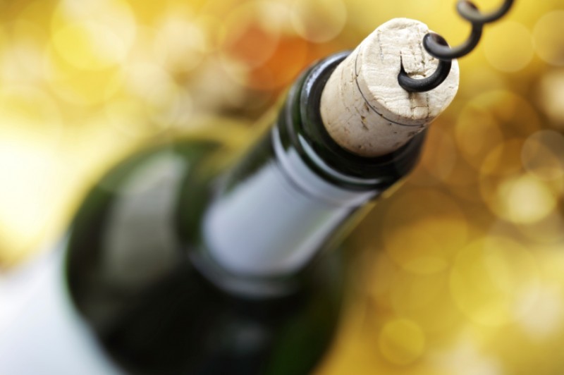 <span style='color:#780948'>ARCHIVED</span> - Wine production in Almeria down 20 per cent since last year
