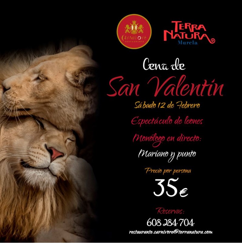 Murcia Today - Special Valentines Day Lion Show And Romantic Dinner At  Terra Natura: February 12