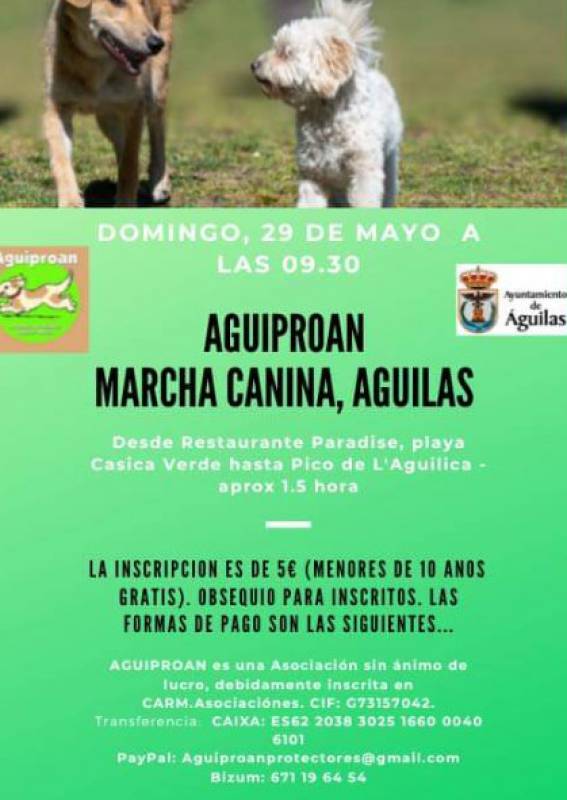 Murcia Today - May 29 Fund-raising Dog Walk Along The Mediterranean Shore  In Aguilas