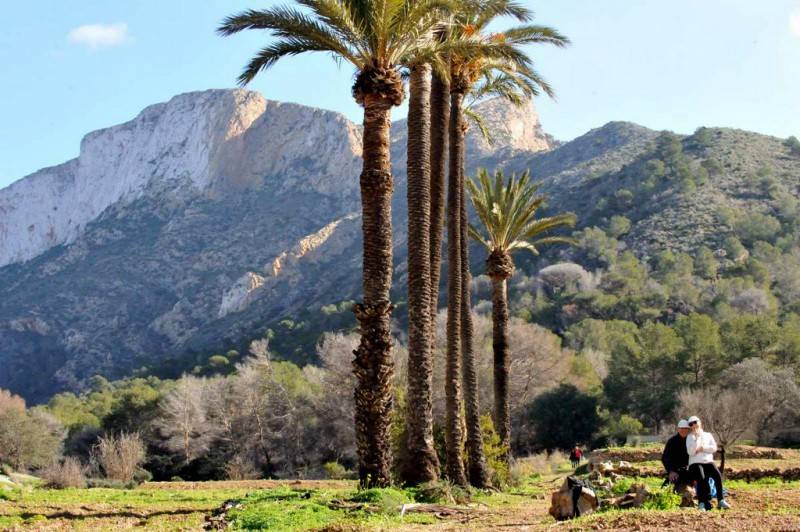 <span style='color:#780948'>ARCHIVED</span> - August 22 Free guided walk in the Rambla del Cañar close to Mazarron