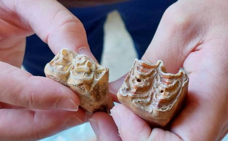 <span style='color:#780948'>ARCHIVED</span> - First post-pandemic dig at Cueva Negra in Caravaca unearths more exciting pre-Neanderthal findings