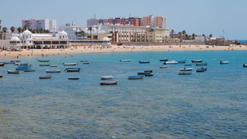 <span style='color:#780948'>ARCHIVED</span> - Poisonous fish attack Cadiz beaches