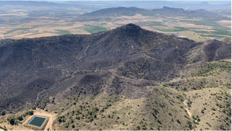 <span style='color:#780948'>ARCHIVED</span> - Murcia Region declared catastrophe zone following Jumilla wildfire