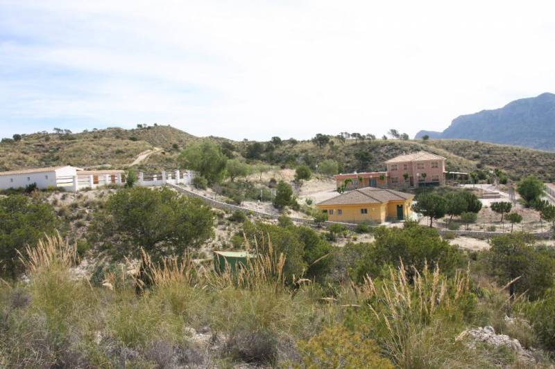 December 11 Free open morning at the Alto del Rellano ecology park in the countryside of central Murcia