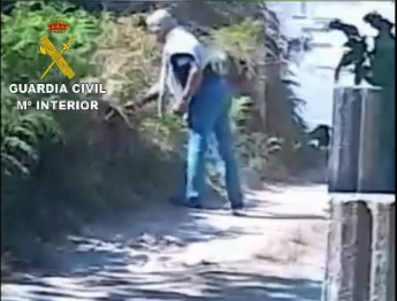 <span style='color:#780948'>ARCHIVED</span> - The 84-year-old who was caught on camera deliberately starting a forest fire in Spain
