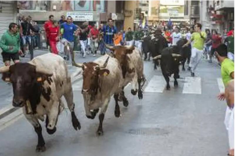 <span style='color:#780948'>ARCHIVED</span> - 72-year-old gored to death at bull run event in the Valencia Region, the 9th fatality this year