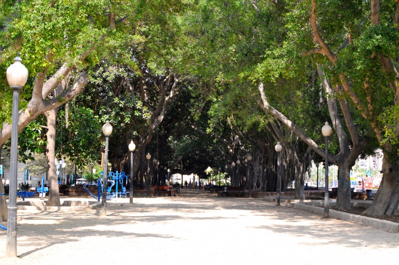 El Parque de Canalejas, Alicante