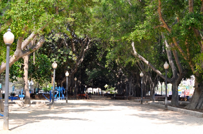 Murcia Today - El Parque De Canalejas, Alicante