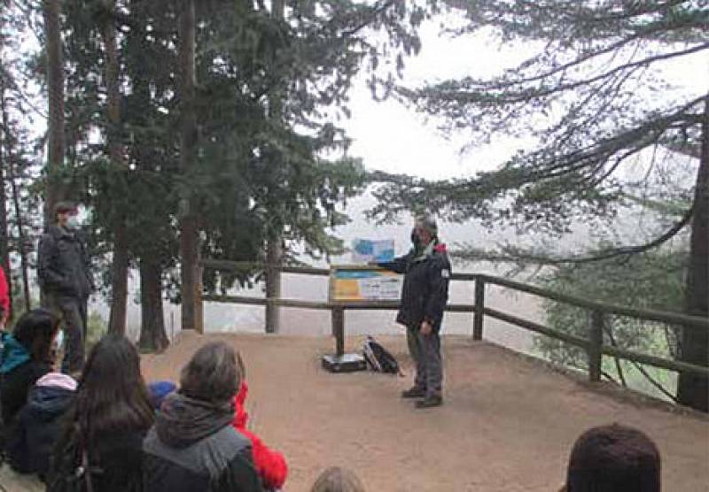 <span style='color:#780948'>ARCHIVED</span> - January 22 Story-telling and tree planting activity in the Regional Park of Sierra Espuña