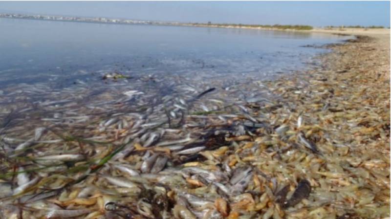 Research project will help predict the environmental collapse of the Mar Menor