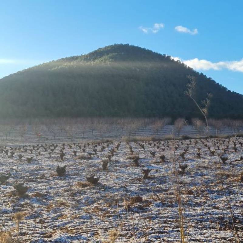 <span style='color:#780948'>ARCHIVED</span> - The first snowfall of the year in Murcia