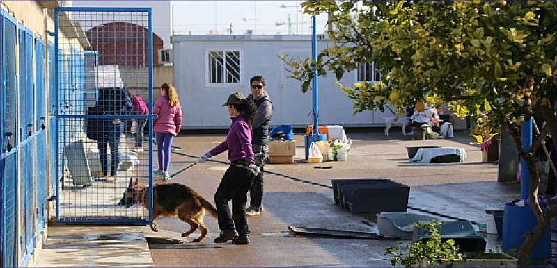 Torrevieja Animal Shelter is now open all year round