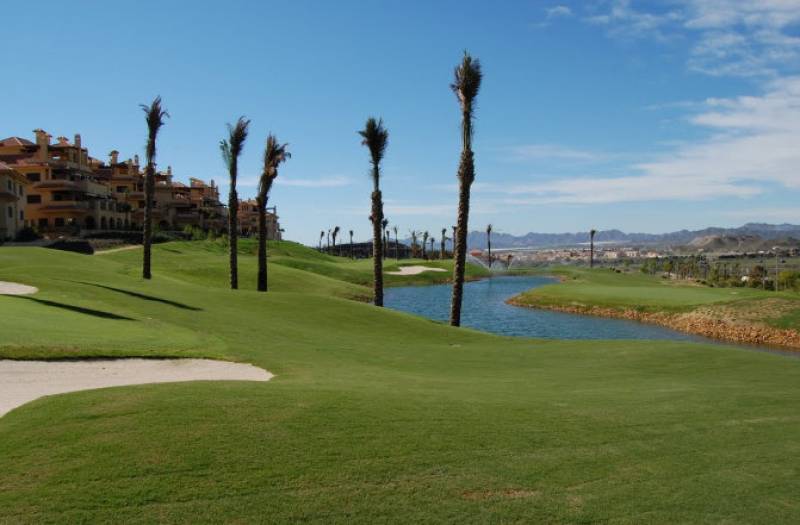 <span style='color:#780948'>ARCHIVED</span> - What’s on in Aguilas February 2023