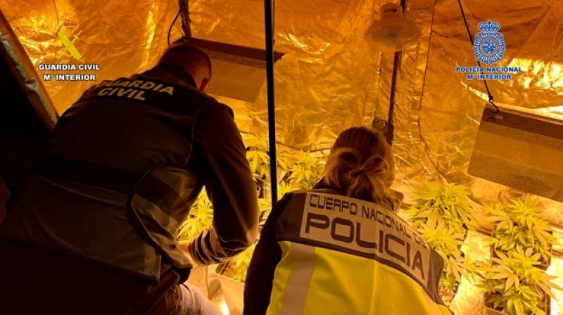 Family squatting in luxury Alicante villa arrested for growing cannabis and trafficking cocaine