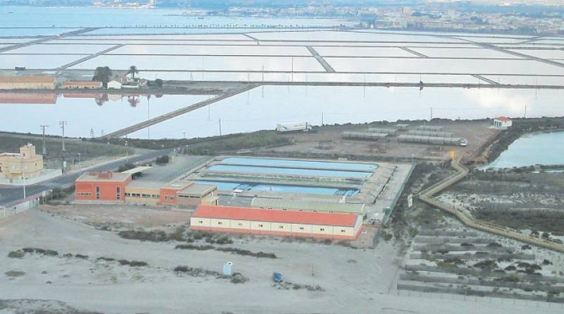 <span style='color:#780948'>ARCHIVED</span> - Scientists unveil small-scale Mar Menor replica that will support the recovery of the lagoon