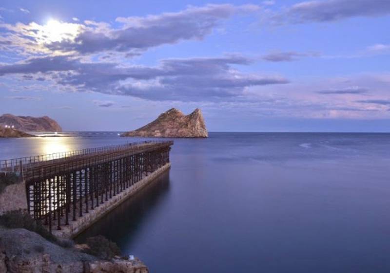 Murcia Today - April 23 Free Mr Gillman And The Railways Guided Tour Of  Aguilas In English