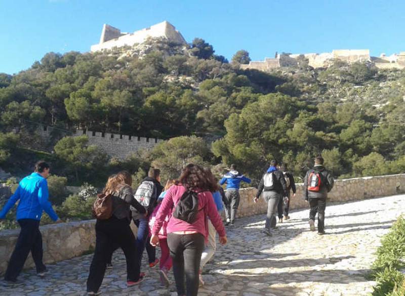 April to June Spring Paths: six free routes to discover the best landscapes in Alicante city