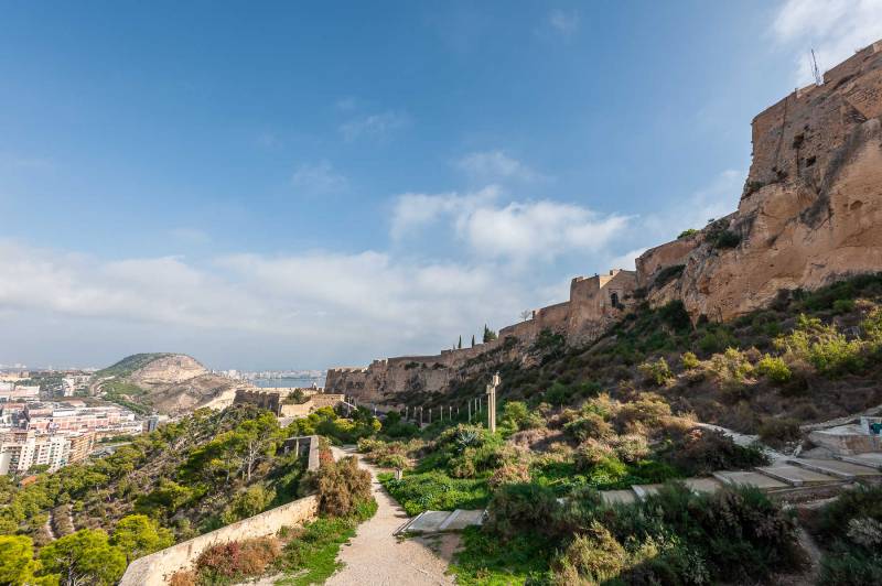 April to June Spring Paths: six free routes to discover the best landscapes in Alicante city