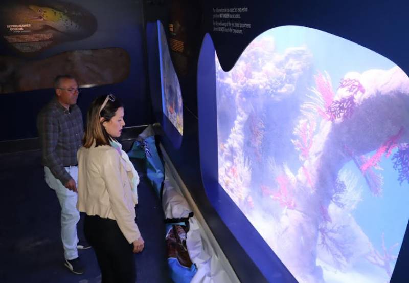 <span style='color:#780948'>ARCHIVED</span> - Aquarium repairs completed at the CIMAR Museum of the Sea in Aguilas
