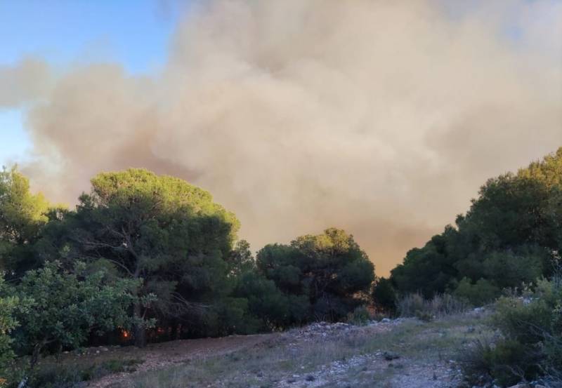 <span style='color:#780948'>ARCHIVED</span> - Spain is in flames: Summer forest fire season comes early this year