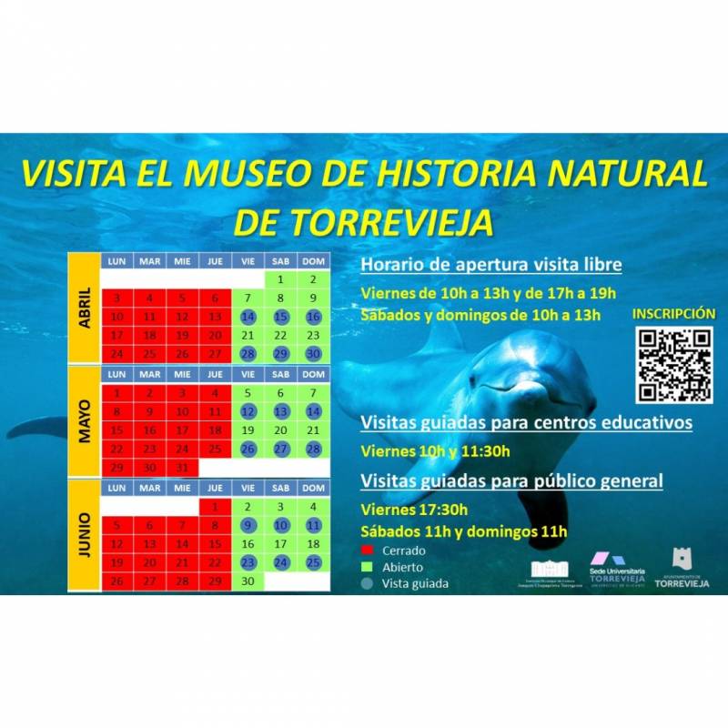 Free guided tours in English of Torrevieja Natural History Museum until the end of June