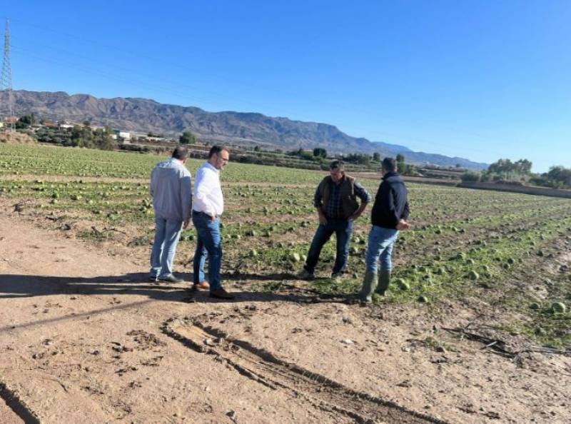 Lorca requests hail-damaged area be declared a catastrophic zone