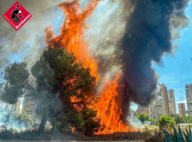 Massive fire consumes Benidorm just metres away from tourist hotels