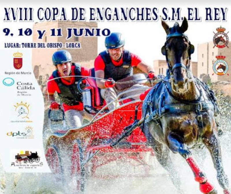 June 9 to 11 Spanish horse and carriage driving cup in Lorca