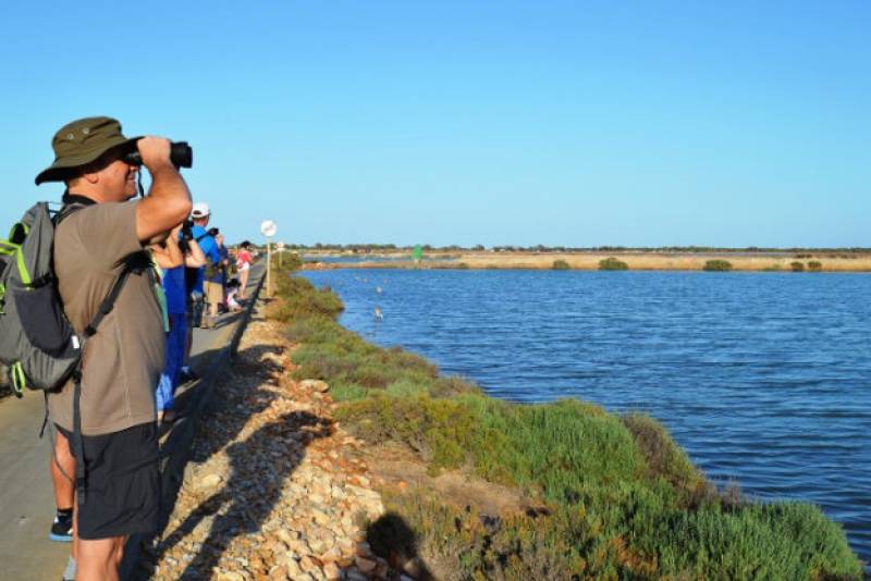 June 4 Free bird-spotting walk in the salt flats of San Pedro del Pinatar