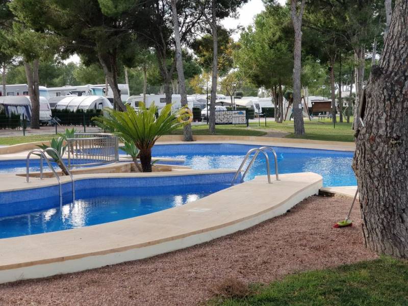 Top 5 campsites and caravan parks in Alicante