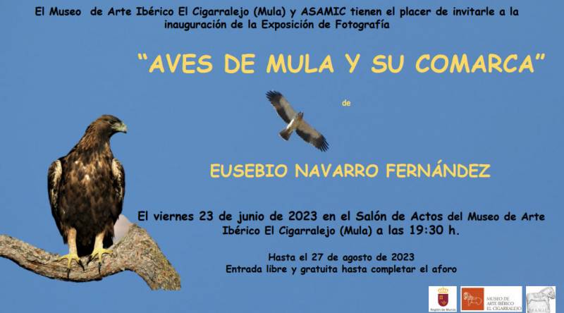 Until August 27 Local birdlife photography exhibition in Mula