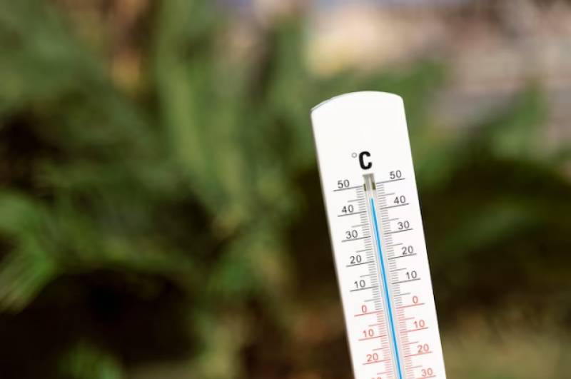 24-year-old gardener dies of heatstroke in Murcia
