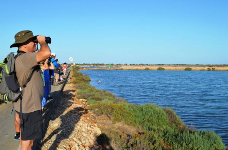 September 3 Free bird-spotting walk in the salt flats of San Pedro del Pinatar