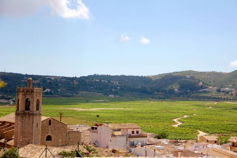 Foreign-owned illegal rural properties to be legalised in Lliber in just three months