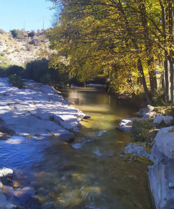 tragedie skulder Hotellet Murcia Today - November 11 Free Guided Walking Tour Of The Cañaverosa  Beauty Spot In Calasparra