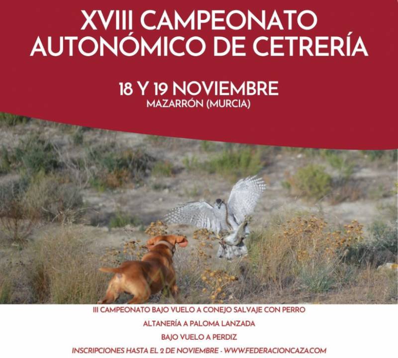 November 18 and 19 Regional hunting falconry championship in Mazarron